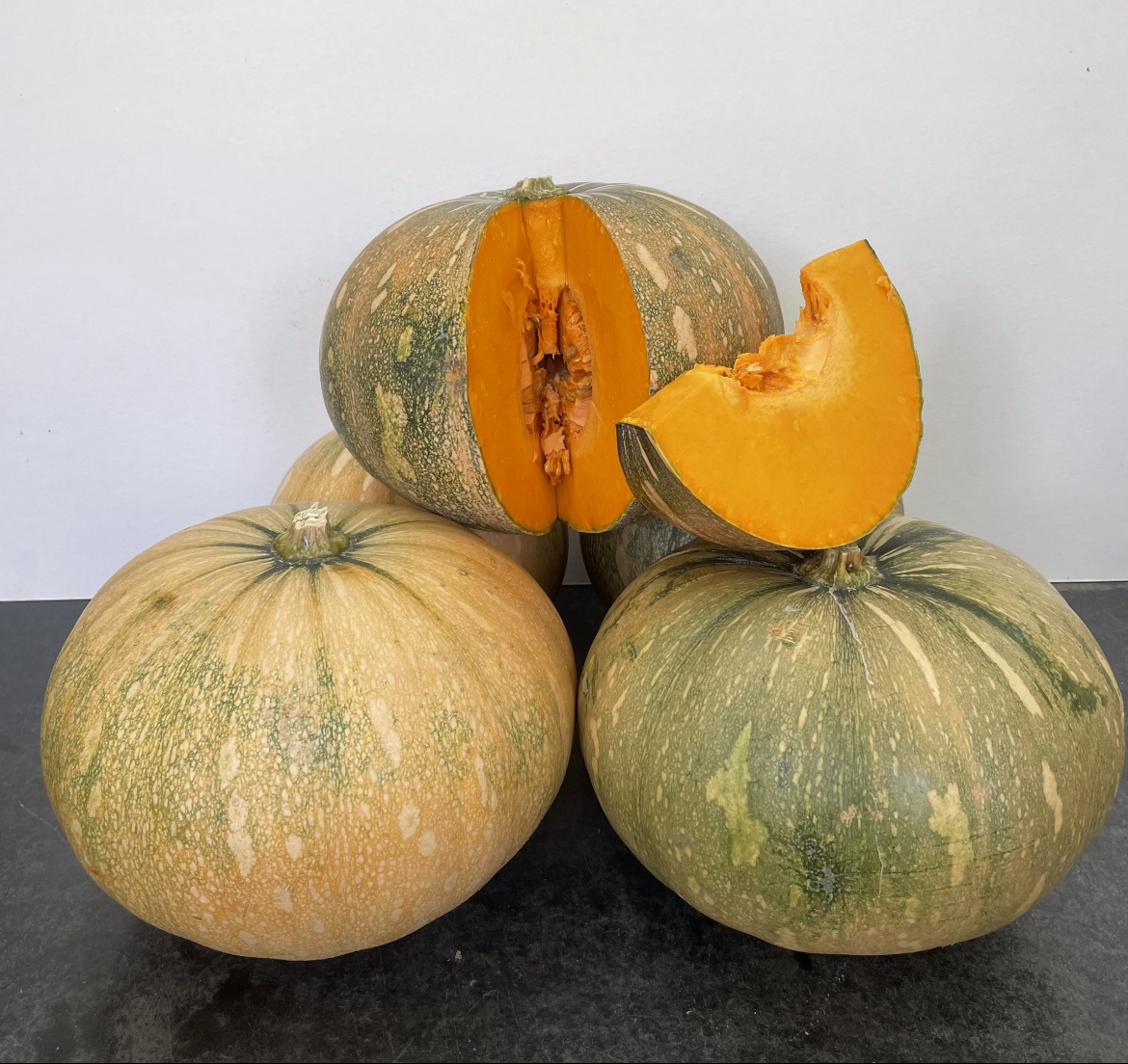 Puerto Rican Calabaza Seeds – Caribbean Squash – Cucurbita moschata