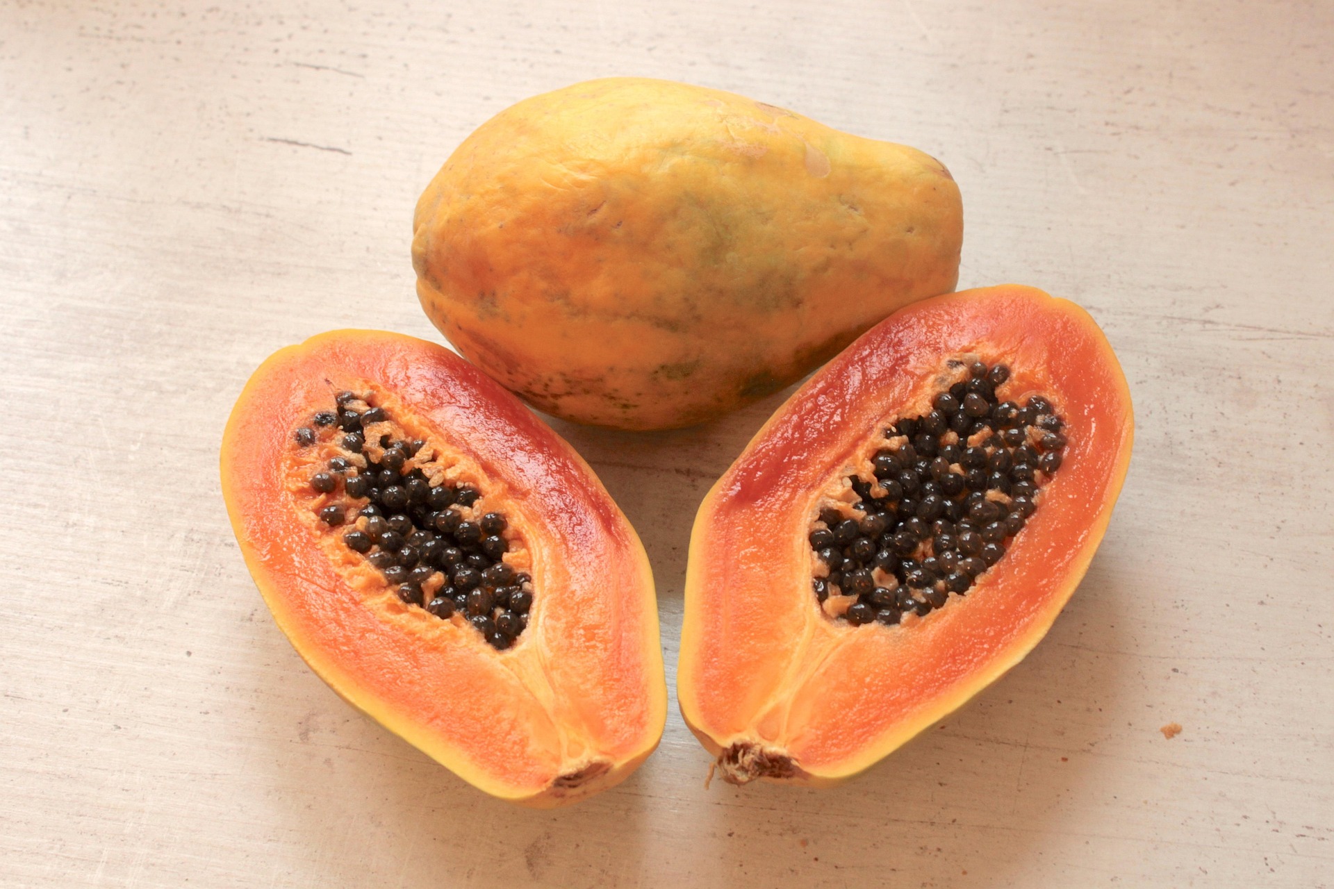Papaya Live Plant – Carica papaya – 8–10" Young Plant